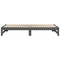 vidaXL Pull-out Day Bed without Mattress Grey 2x(100x200) cm