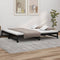 vidaXL Pull-out Day Bed without Mattress Black 2x(100x200) cm