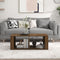 vidaXL Coffee Table Brown Oak 100x50x36 cm Engineered Wood