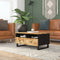 vidaXL Coffee Table 80x54x40 cm Solid Wood Mango&Engineered Wood