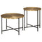 vidaXL Coffee Tables 2 pcs Brass and Black Metal