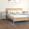 vidaXL Bedside Cabinets 2 pcs Concrete Grey 40x35x70 cm Engineered Wood