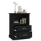 vidaXL Bedside Cabinets 2 pcs Black 43x36x60 cm
