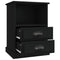 vidaXL Bedside Cabinets 2 pcs Black 43x36x60 cm