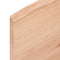 vidaXL Wall Shelf Light Brown 100x20x2 cm Treated Solid Wood Oak
