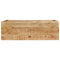 vidaXL Console Table with 2 Drawers 110x35x75 cm Solid Wood Mango
