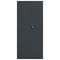 vidaXL File Cabinet Anthracite 90x40x200 cm Steel