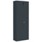 vidaXL File Cabinet Anthracite 90x40x240 cm Steel