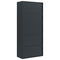 vidaXL File Cabinet Anthracite 90x40x240 cm Steel