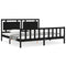 vidaXL Bed Frame without Mattress Black 200x200 cm Solid Wood Pine