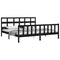 vidaXL Bed Frame without Mattress Black 200x200 cm Solid Wood Pine