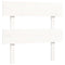 vidaXL Bed Frame without Mattress White 100x200 cm Solid Wood Pine