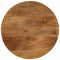 vidaXL Table Top Ø 40x3.8 cm Round Solid Wood Mango
