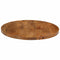 vidaXL Table Top Ø 60x2.5 cm Round Solid Wood Mango
