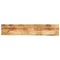 vidaXL Table Top 160x30x2.5 cm Live Edge Solid Wood Rough Mango