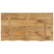 vidaXL Table Top 100x60x2.5 cm Live Edge Solid Wood Rough Mango