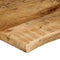 vidaXL Table Top 120x60x2.5 cm Live Edge Solid Wood Rough Mango