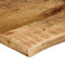 vidaXL Table Top 140x60x2.5 cm Live Edge Solid Wood Rough Mango