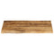 vidaXL Table Top 70x60x3.8 cm Live Edge Solid Wood Rough Mango