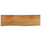 vidaXL Table Top Live Edge 120x30x2.5 cm Solid Wood Mango