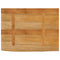 vidaXL Table Top Live Edge 70x60x2.5 cm Solid Wood Mango