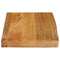 vidaXL Table Top Live Edge 40x20x3.8 cm Solid Wood Mango
