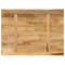 vidaXL Table Top Live Edge 70x60x3.8 cm Solid Wood Rough Mango