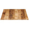 vidaXL Table Top Live Edge 100x80x3.8 cm Solid Wood Rough Mango