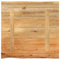 vidaXL Table Top 60x60x2.5 cm Live Edge Solid Wood Mango