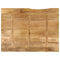 vidaXL Table Top 100x80x2.5 cm Live Edge Solid Wood Mango