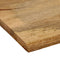 vidaXL Table Top 100x80x2.5 cm Live Edge Solid Wood Mango