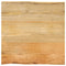 vidaXL Table Top 40x40x3.8 cm Live Edge Solid Wood Mango