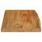 vidaXL Table Top 50x40x2.5 cm Live Edge Solid Wood Mango