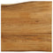 vidaXL Table Top 40x40x3.8 cm Live Edge Solid Wood Mango