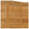 vidaXL Table Top 40x40x3.8 cm Live Edge Solid Wood Mango