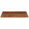 vidaXL Table Top 100x60x3.8 cm Rectangular Solid Wood Reclaimed