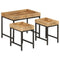 vidaXL Nesting Coffee Tables 3 pcs Solid Rough Mango Wood and Iron