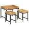 vidaXL Nesting Coffee Tables 3 pcs Solid Rough Mango Wood and Iron