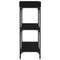 vidaXL Console Table with Shelves Black 100x30x80 cm