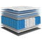 vidaXL Pocket Spring Mattress Medium Firm 120x200 cm