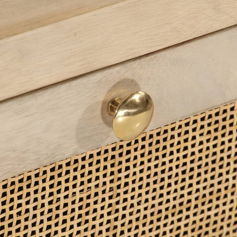 vidaXL Bedside Cabinet 40x30x50 cm Solid Wood Mango and Iron