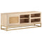 vidaXL TV Cabinet 110x30x40 cm Solid Wood Mango and Iron