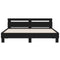 vidaXL Bed Frame without Mattress Black 200x200 cm