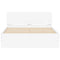 vidaXL Bed Frame with LED without Mattress White 135x190 cm Double
