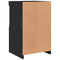 vidaXL Side Cabinets with LED Lights 2 pcs Black Engineered Wood