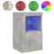 vidaXL Side Cabinet with LED Lights Concrete Grey Engineered Wood