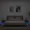 vidaXL Bedside Cabinets with LED Lights 2 pcs Black 40x39x37 cm
