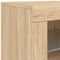 vidaXL Sideboard with LED Lights Sonoma Oak 123x37x67 cm
