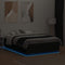 vidaXL Bed Frame with LED without Mattress Black 135x190 cm Double
