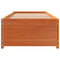 vidaXL Day Bed without Mattress Wax Brown 90x200 cm Solid Wood Pine